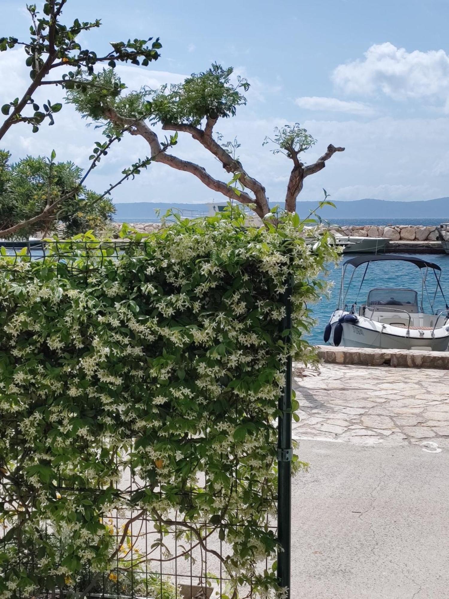 Apartmani Ines Drašnice Exterior foto
